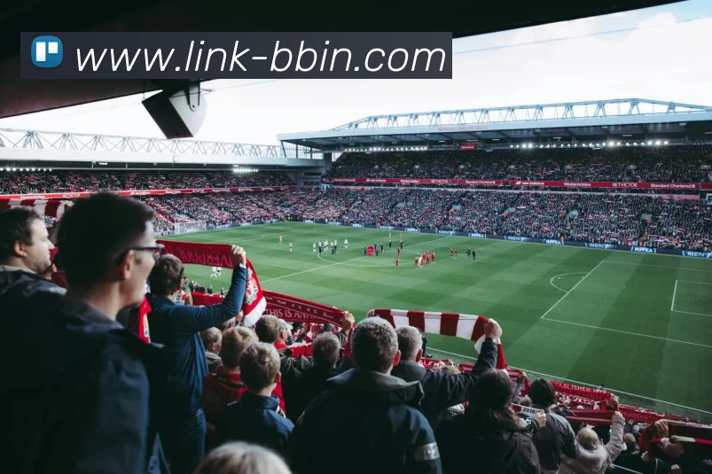 BBIN娱乐平台生态图